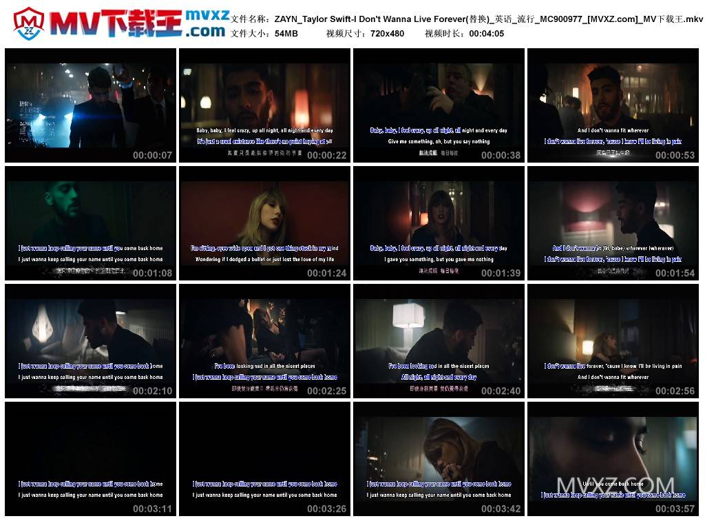 ZAYN_Taylor Swift-I Don't Wanna Live Forever(替换)_英语_流行_MC900977